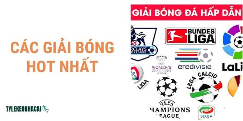 Tại seso.com.mx luôn cập nhật đầy đủ lịch mọi giải đấu bóng